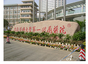 &#108;&#101;&#121;&#117;&#46;&#20048;&#40060;&#40;&#38598;&#22242;&#41;&#20307;&#32946;&#45;&#31185;&#25216;&#32929;&#20221;&#26377;&#38480;&#20844;&#21496;&#32593;&#31449;